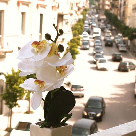 Dimore Demetra Canosa di Puglia Eksteriør billede